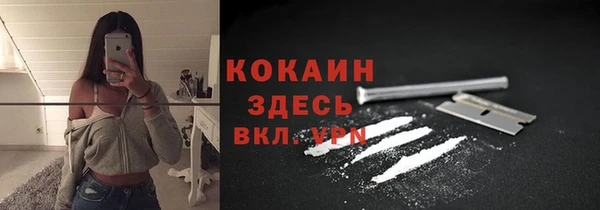 гидропоника Абаза