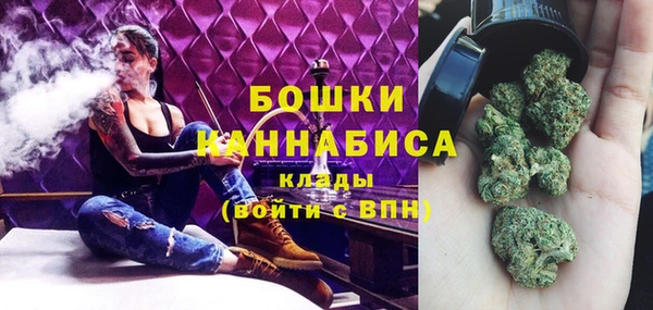 apvp Алексин